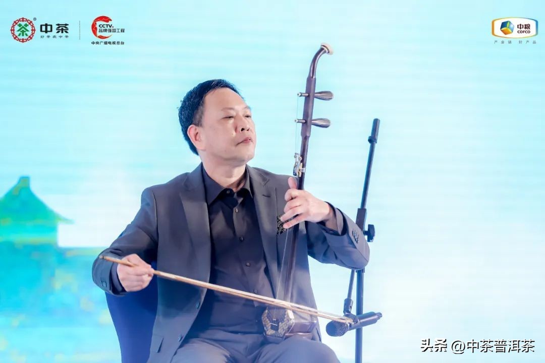 中茶普洱茶经销商信息大会,中茶2024年经销商大会