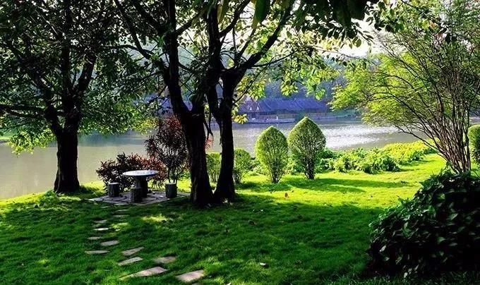 云南西双版纳旅游攻略app,云南西双版纳旅游攻略自由行12月