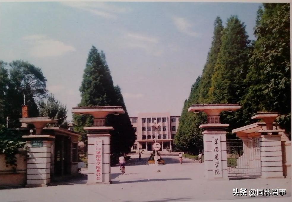 70后眼中的大学之南京林业,青岛农业大学的发展史