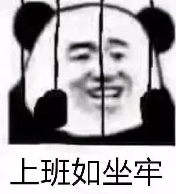 熊猫贴在墙上表情,震惊熊猫表情素材