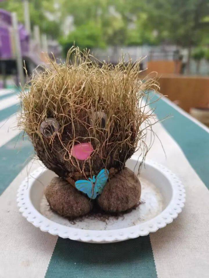 你好，草娃娃！——庆安乐儿堡幼儿园小二班课程故事