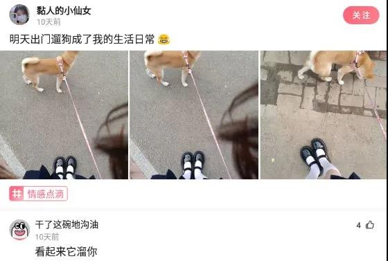 室友新买的蚊帐怎么感觉怪怪的,为什么刚买的蚊帐总感觉哪里不对