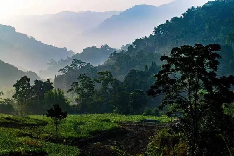 投资理财机会在哪里,投资理财怎么入门第一年才能赚钱
