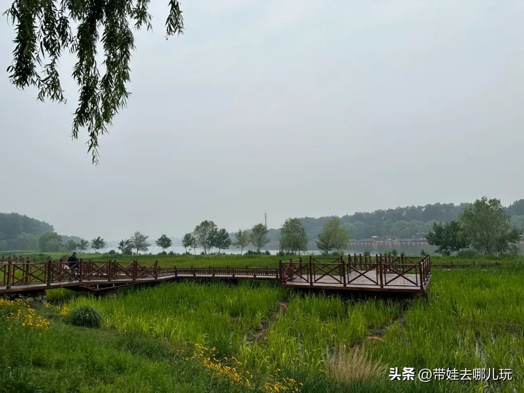 可搭帐篷公园,可以骑车搭帐篷的公园