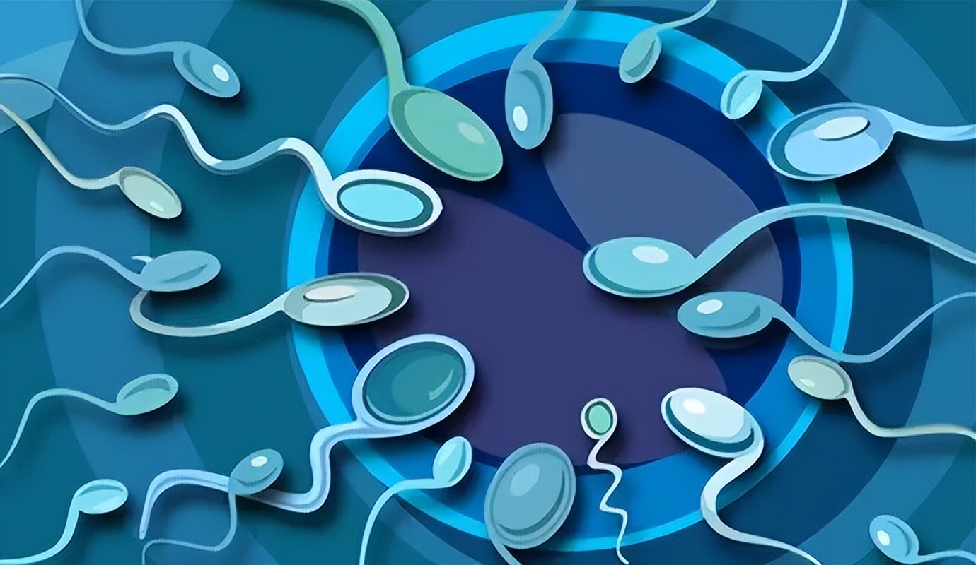 死精子症如何治疗,死精原因治疗