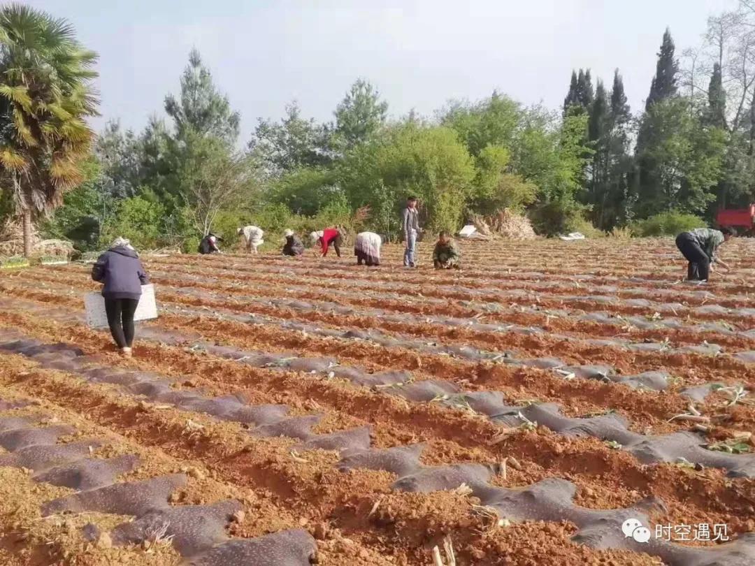 西江最美苗寨旅游,西江千户苗寨最美