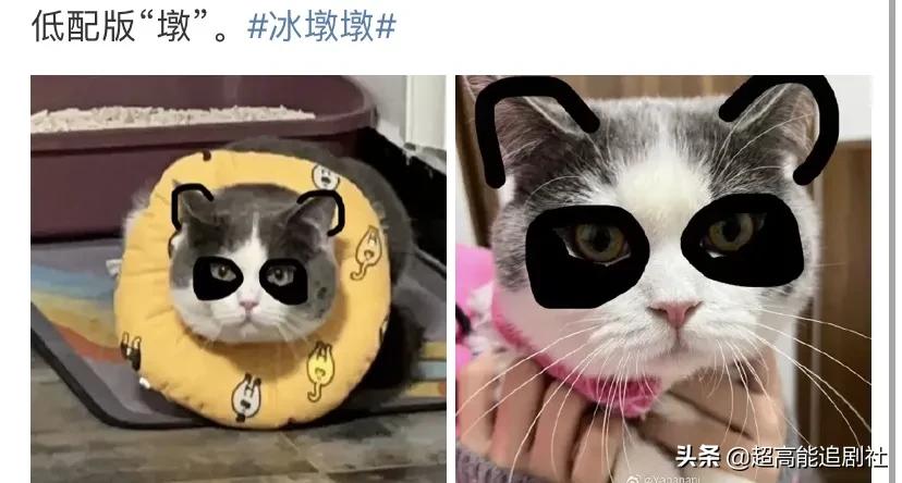 国民顶流，还得看这墩