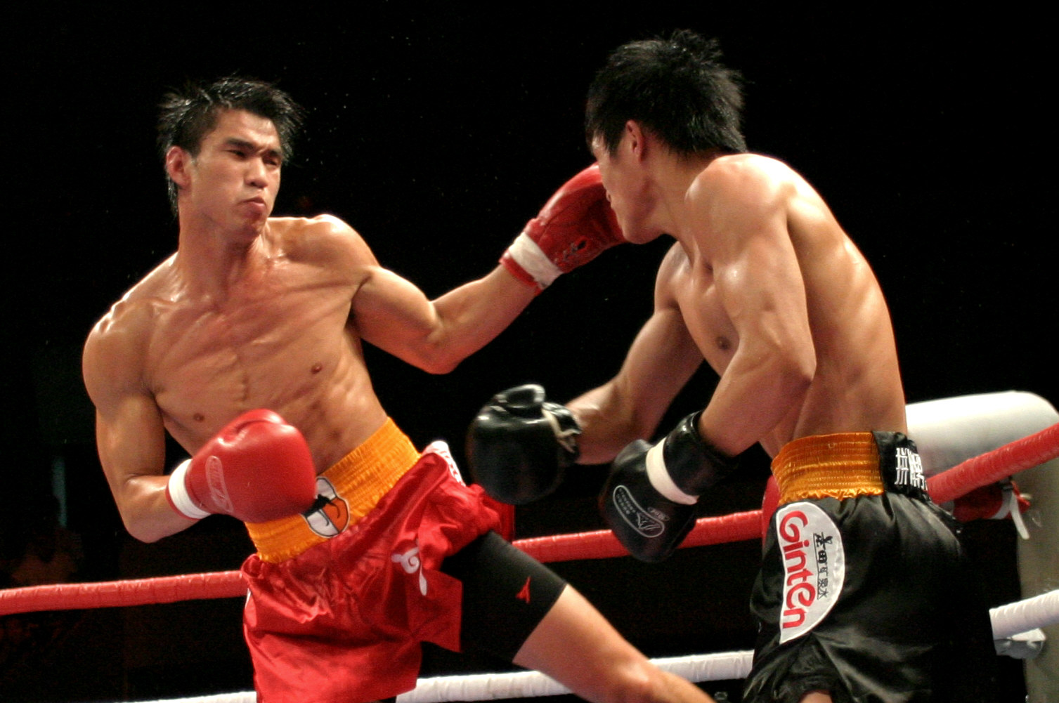 中国散打王ko日本,中国对日本散打ko集锦