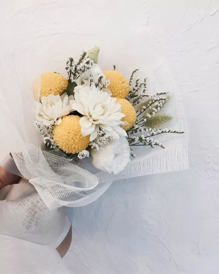 闀垮緱鍍忚冻鐞冧竴鏍风殑妞嶇墿,鍜岃冻鐞冩湁鍏崇殑妞嶇墿