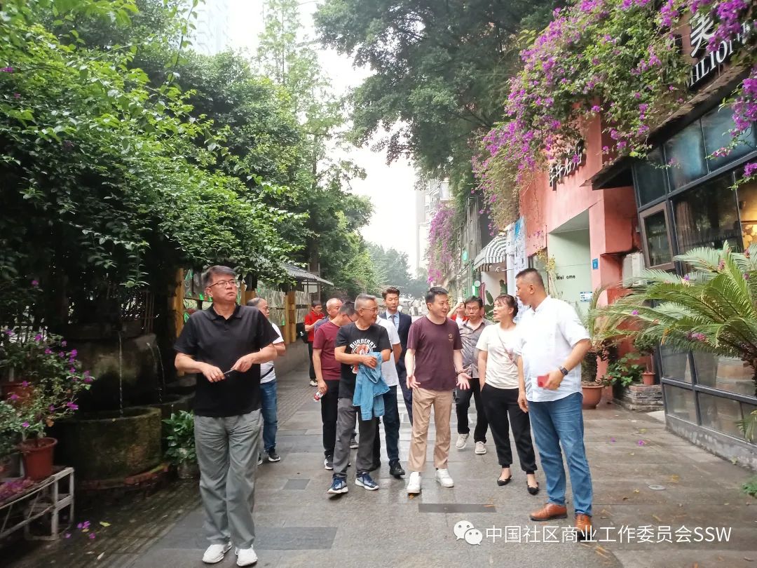 重庆解析商业模式创新,重庆商业模式问卷