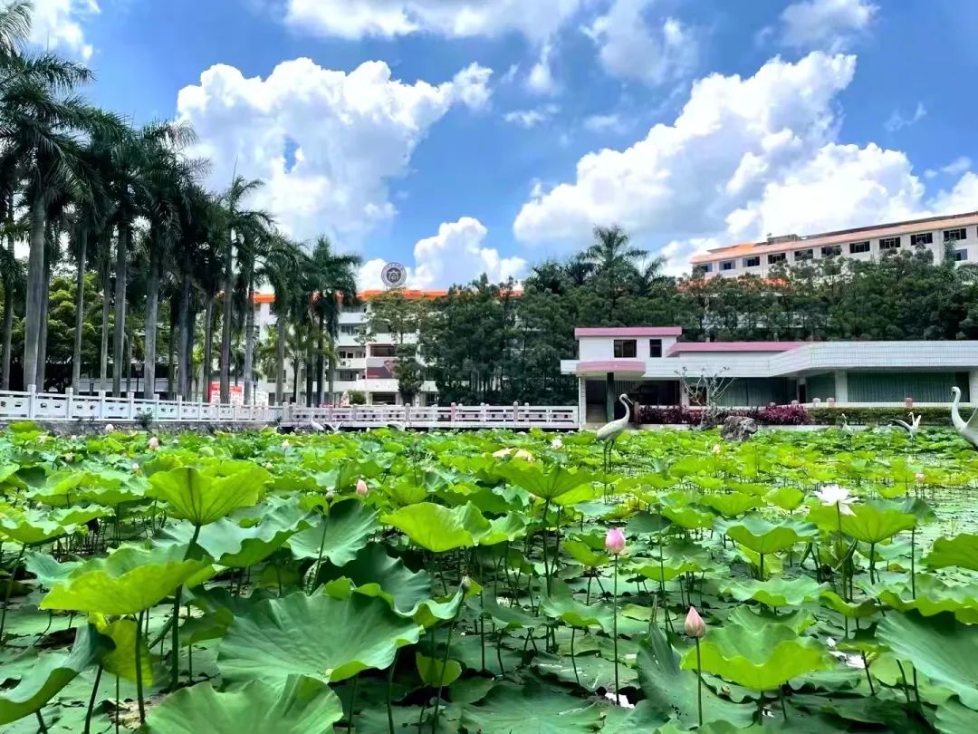 “敬畏课堂”：广州大同中学的课改坚持