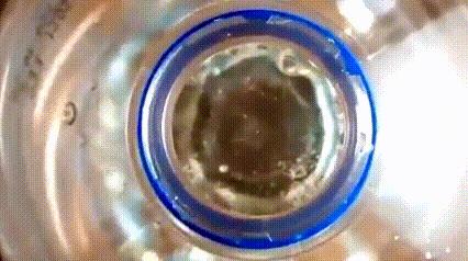 运动神经元显微镜观察内容与结果,显微镜下观察神经元的判断依据