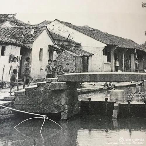 复活（张翼人先生佚著谈）王大同