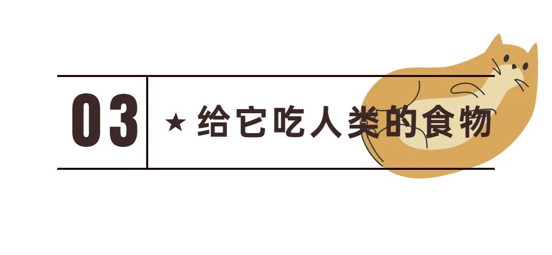 新手常见的害猫行为,看似爱猫实测害猫的五个行为