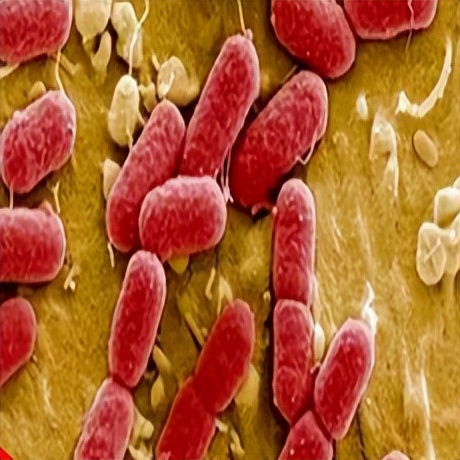 哪些是抑菌制剂,新型抗菌制剂