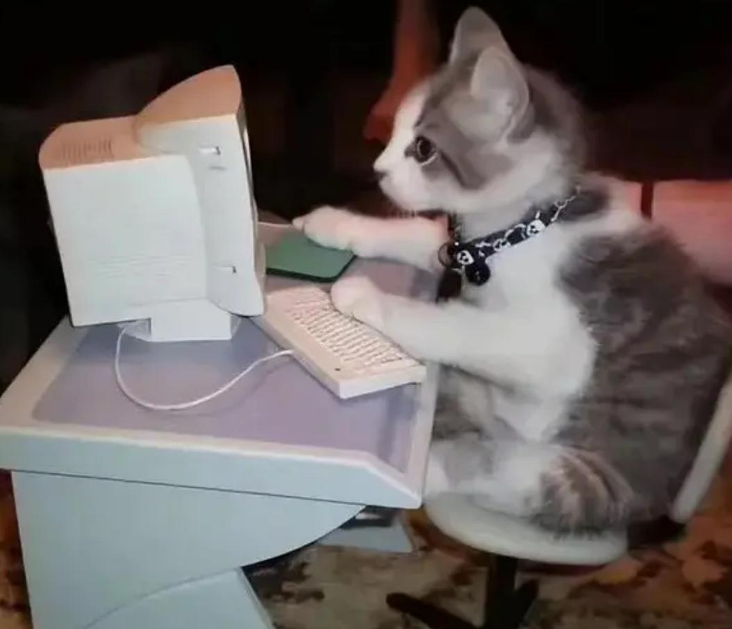 新手学电脑如何快速掌握技巧,电脑必学十大技能