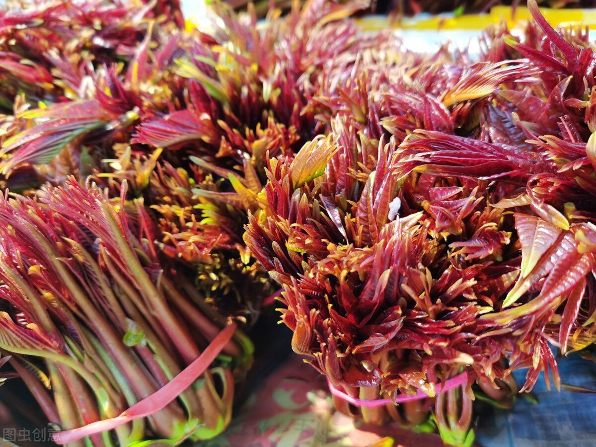 香椿生吃对人有什么危害,香椿吃不对增加致癌危险