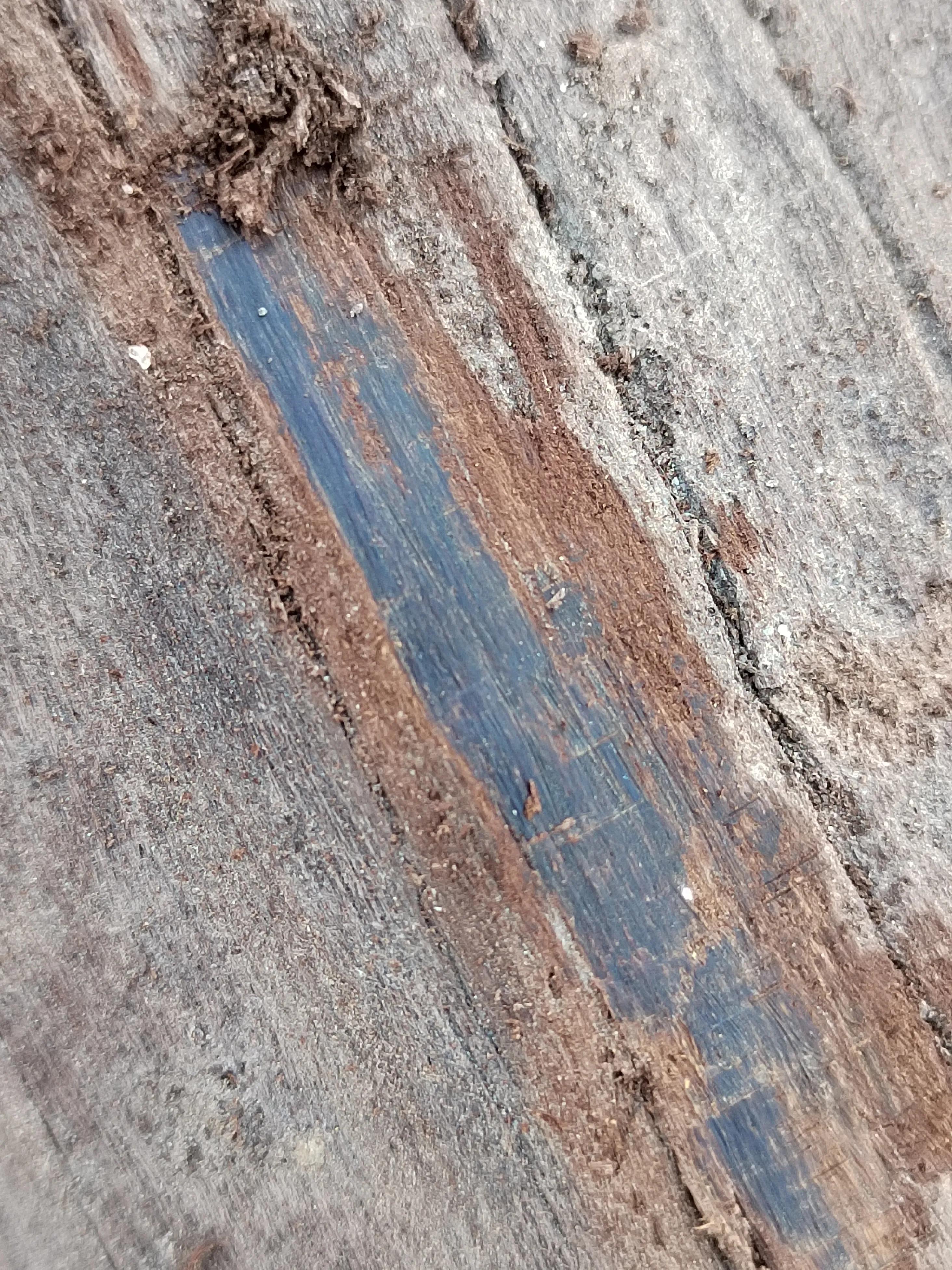 白奇楠莺歌绿奇楠黑奇楠哪个好,黑奇楠和白奇楠沉香哪个好