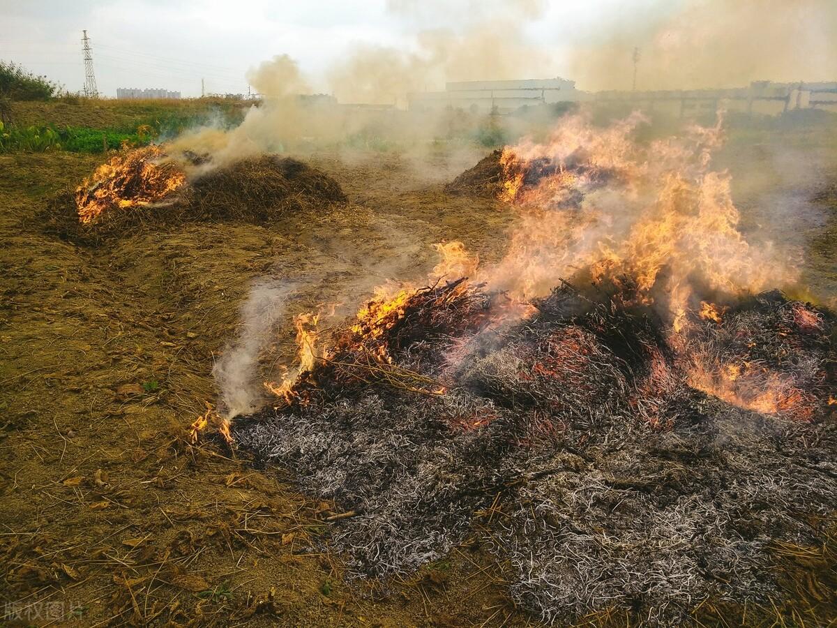 为什么要成立农业农村执法大队,临沂市农业农村执法大队最新动态