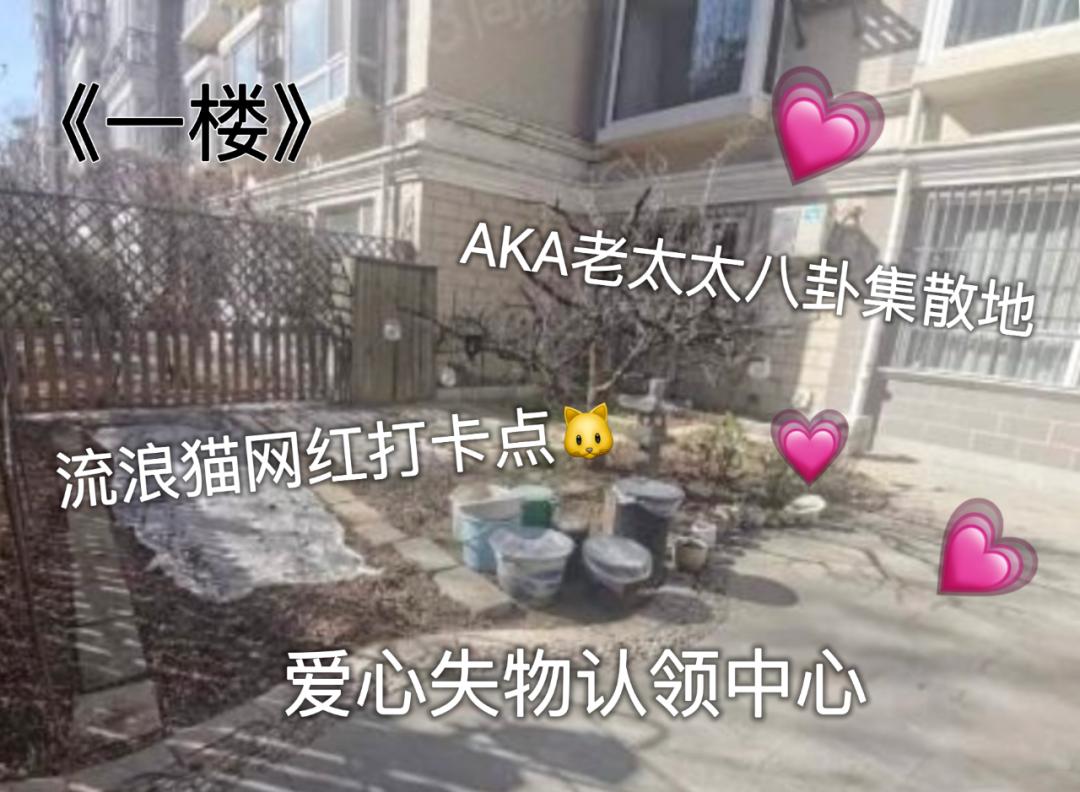 租房选到这层楼，人间第一冤大头