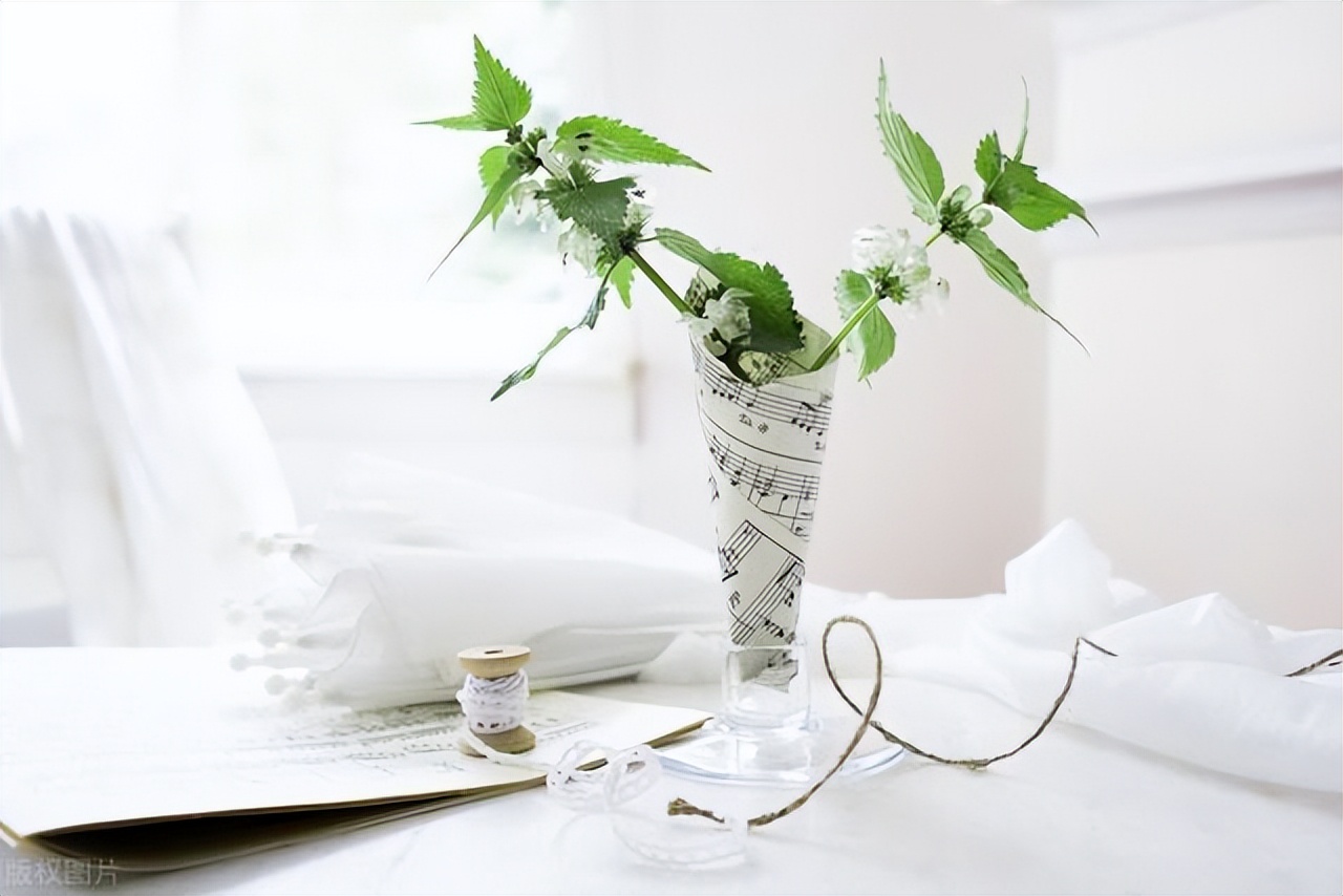 女人的微信头像看她的人品,看微信头像就可以知道女人的喜欢