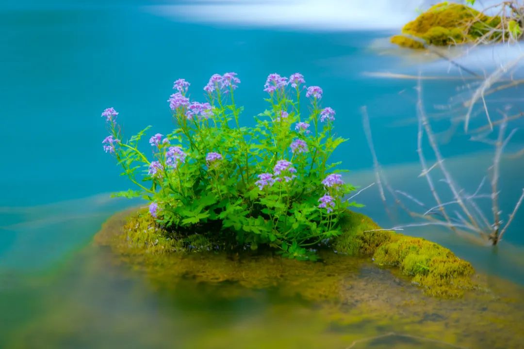 测评|JeromeChen：风光大片拍摄技巧-减光镜篇