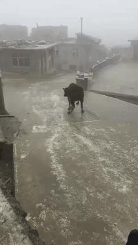 “老婆出差在宾馆给我发照片，桌子上那个是胶水吗？”哈哈哈哈