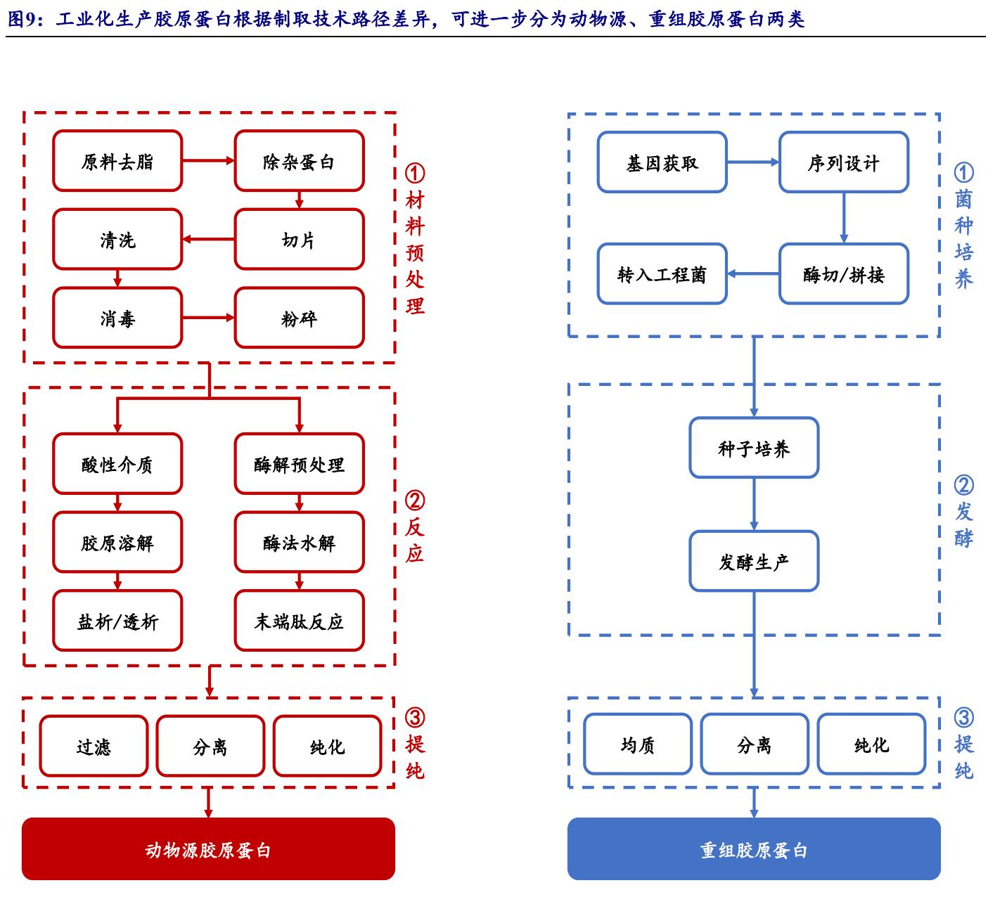 鑳跺師铔嬬櫧鍥藉唴宸蹭笂甯傜殑鍏,鑳跺師铔嬬櫧鑳藉惁鎴愪负璺ㄨ秺鍛ㄦ湡鍘熸枡