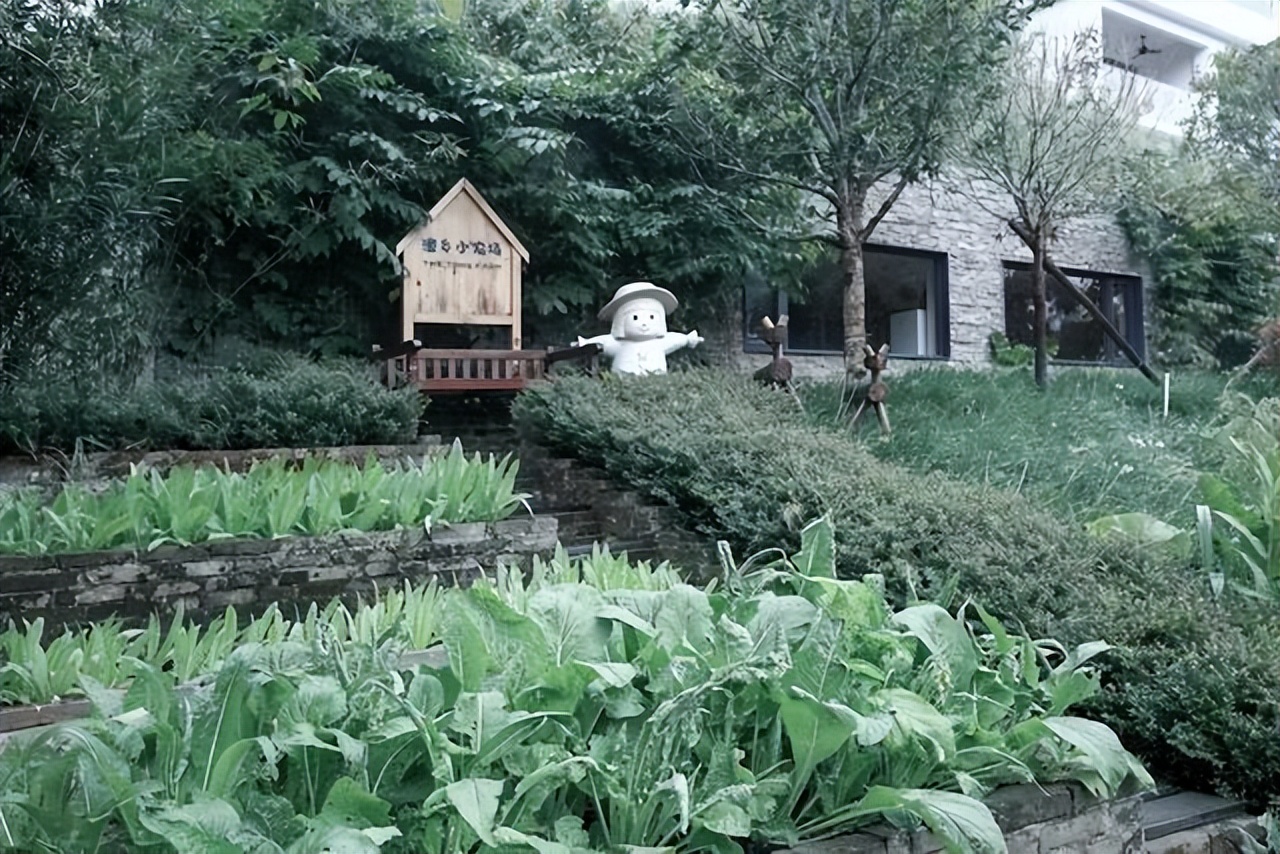 阳朔山水秘境c位美宿,阳朔潼乡酒店