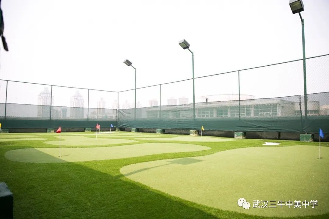 武汉三牛中美中学怎么进,武汉三牛中美中学分数线