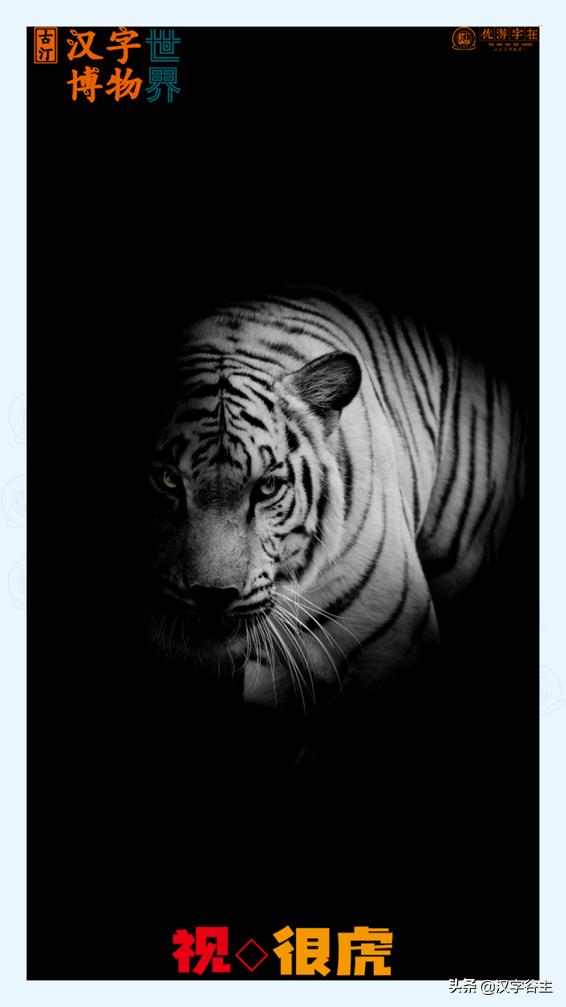 虎年带虎的成语,搜集有关虎年的成语十则