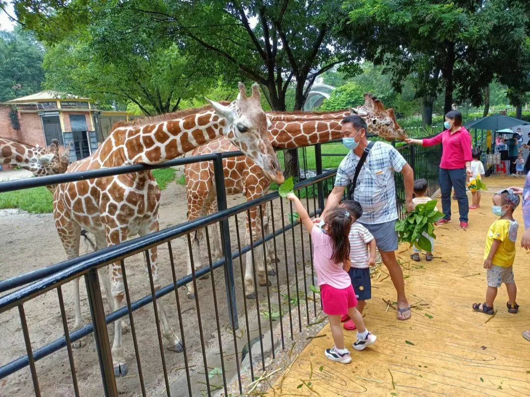 顺德附近好玩的地方一日游动物园,广东顺德长鹿动物园