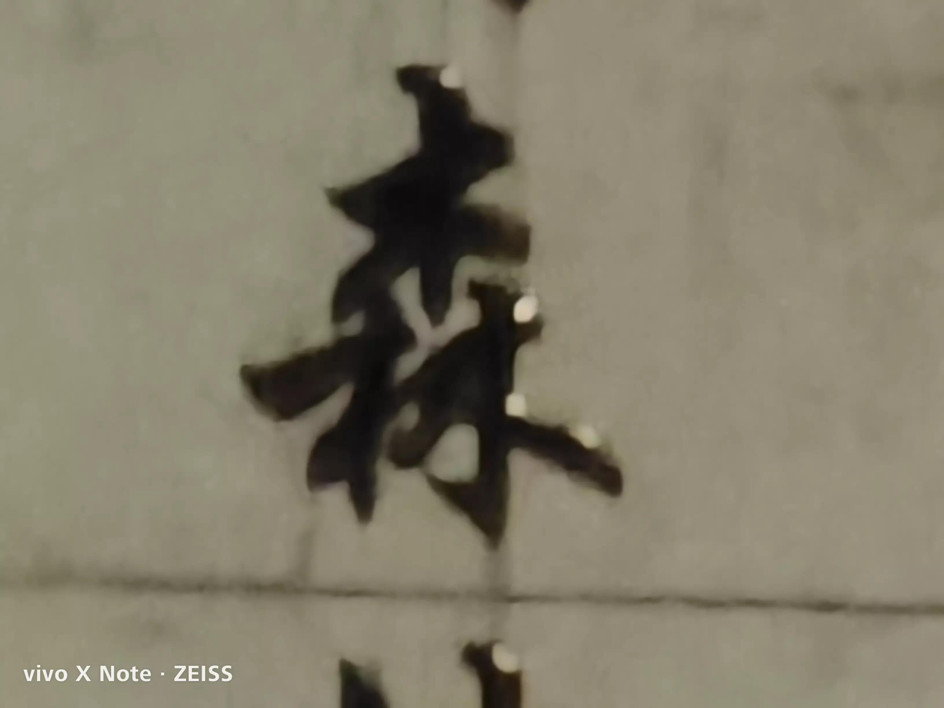 vivoxnote日常使用体验,vivoxnote使用几个月真实感受