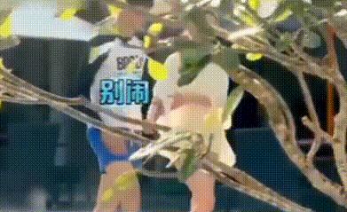 知名女星被*拍偷**裙底，她的回击真漂亮！