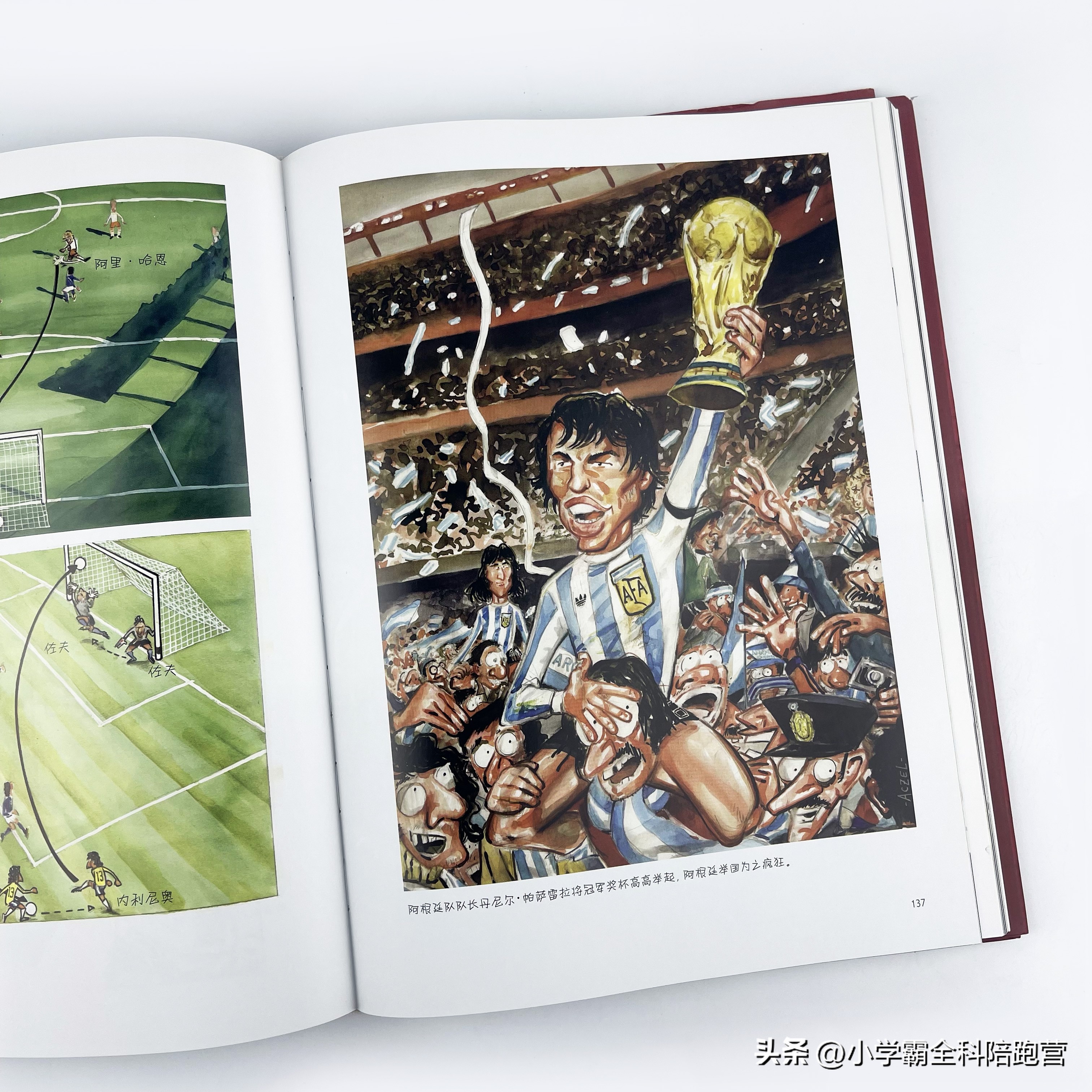 世界杯必须看的书有哪些,中国足球队挺进世界杯纪念珍藏册