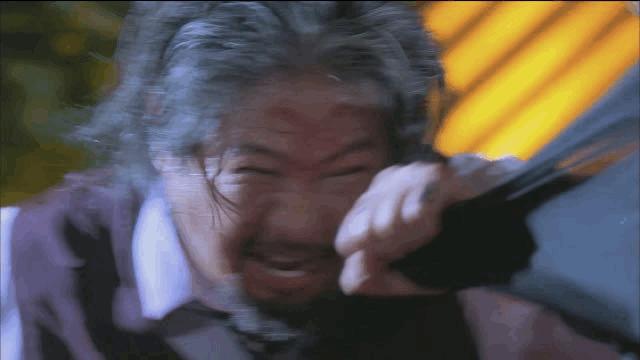 推荐几部甄子丹最能打的动作电影,甄子丹拍过三部巅峰时期动作片