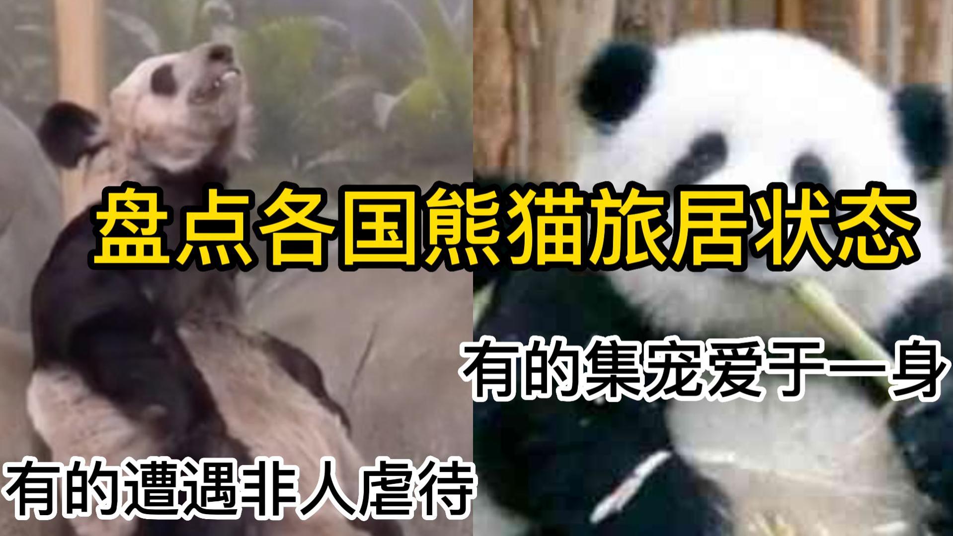 各国旅游的真实惨状,各国留学生活状态分析