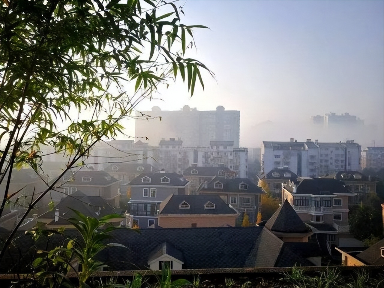 楼顶露台养花夏季怎么养,顶楼露台养花最佳方案