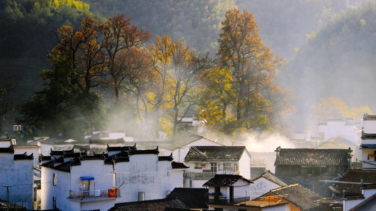 家中旺财的三个地方,家里要走好运的三大吉兆