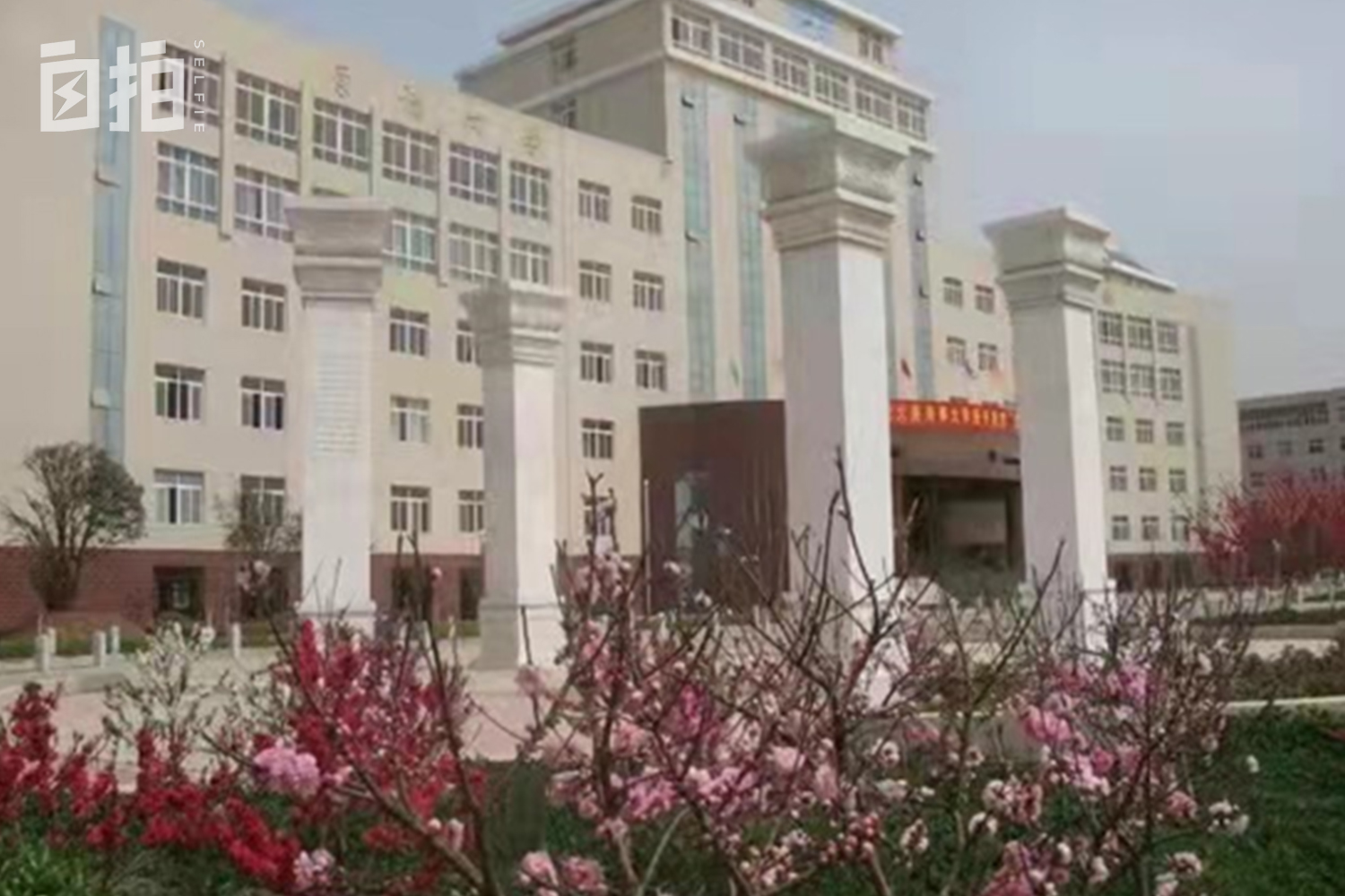 清华博士到深圳当老师,清华博士毕业当教师