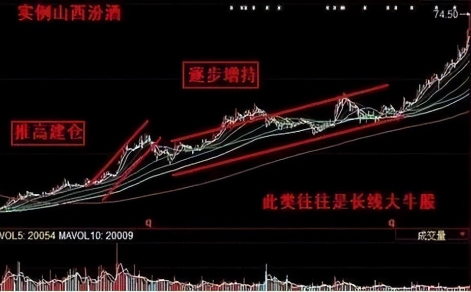 广东一位包租婆炒股,仅用一招“跟庄”法,短短三年账户超八位数