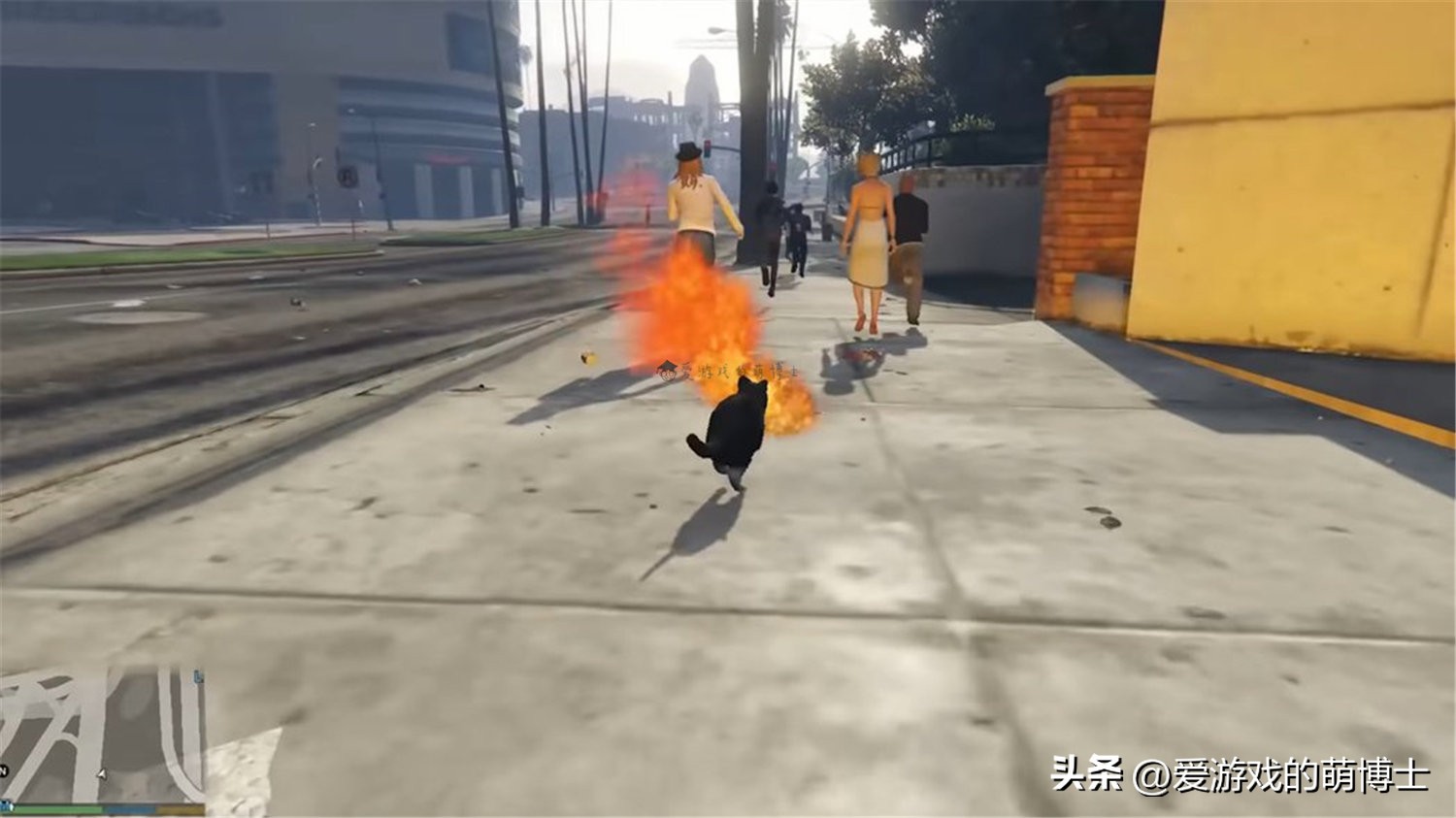 stray年度游戏,stray游戏发布