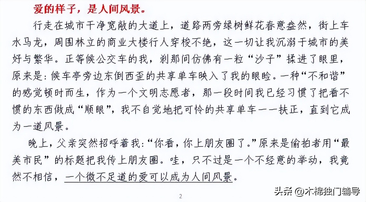 描写木棉花的初中作文,初中作文木棉花