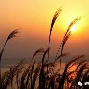 上林三里将军镇故事,广西上林三里镇的历史