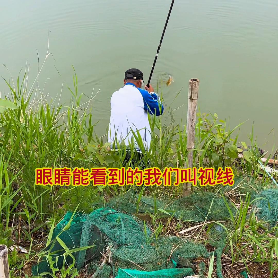休闲野钓小钩细线遇大鲤鱼#新手垂钓技巧