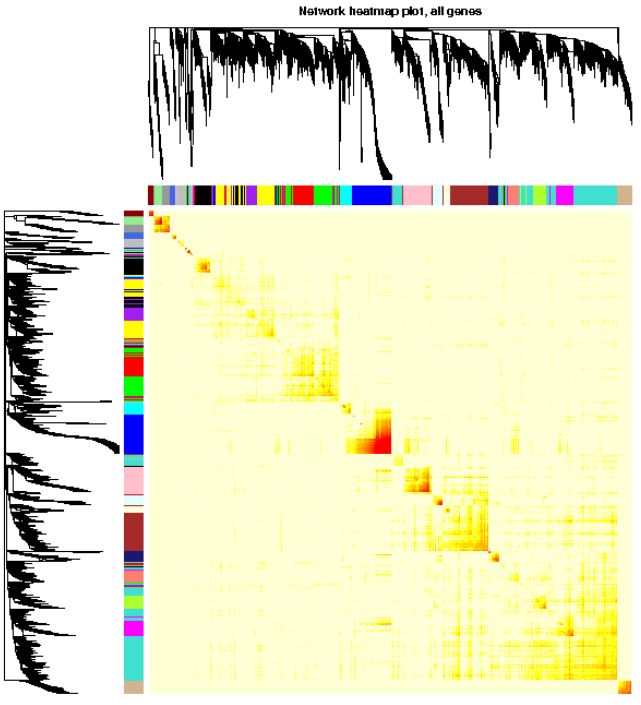 什么是wgcna分析,wgcna是分析什么的