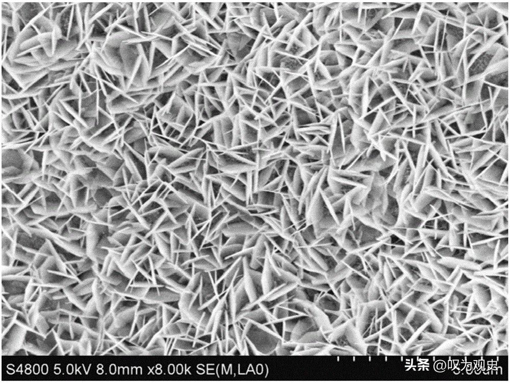 碳基超级电容器电极材料的研究,生物质衍生碳材料的超级电容器