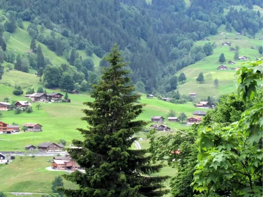 瑞士之行——从蒙特勒到格林瓦尔德