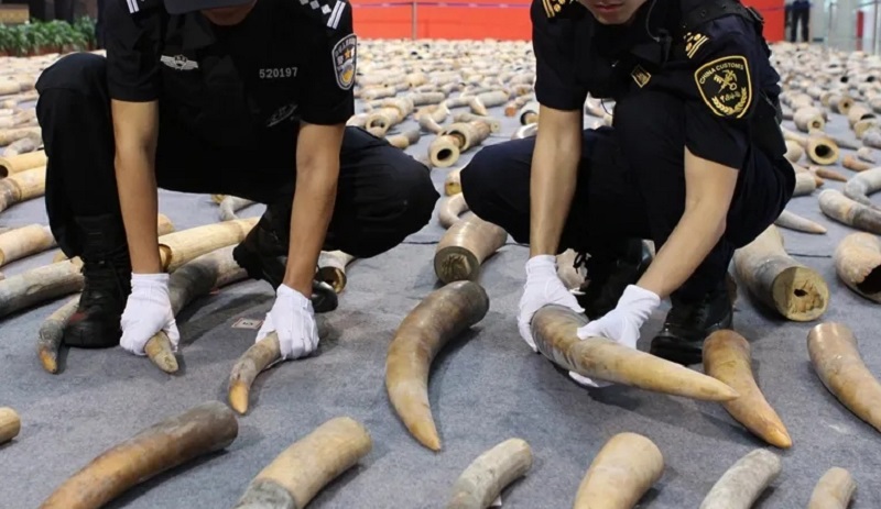 古董鉴别专家直播玉碗,30万左右的和田玉鉴定