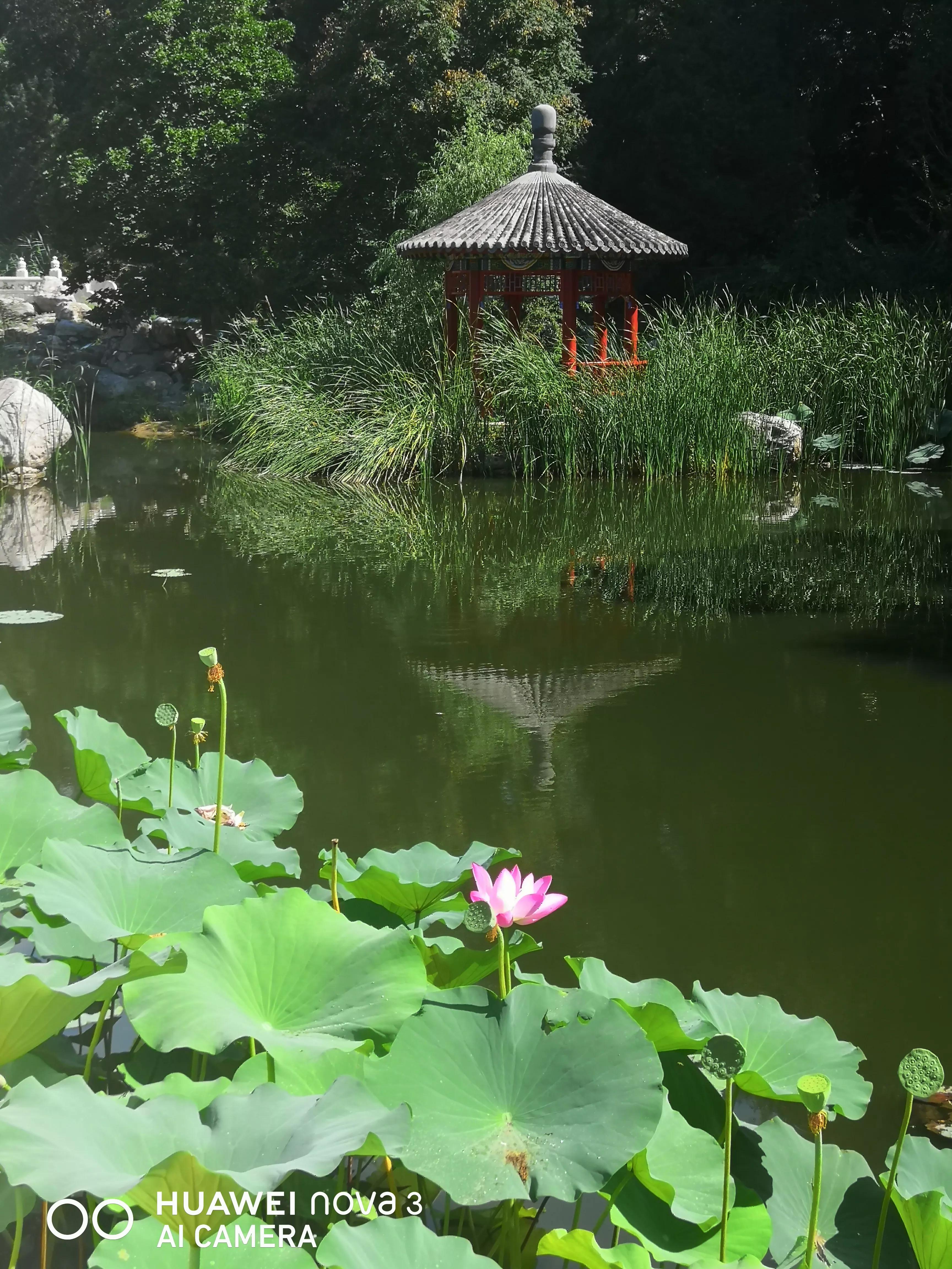 为何叫八大处,八大处从何而来